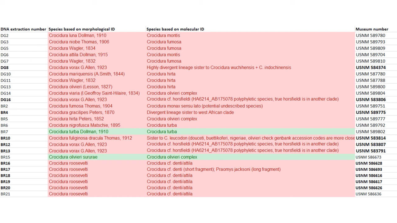 Spreadsheet of gene analysis