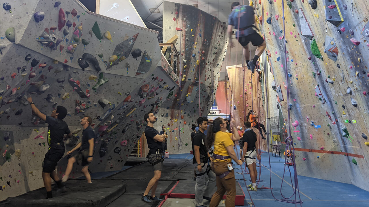 QUIP-RS students participate in rock climbing.