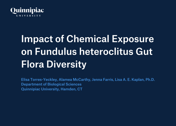 Graphic that says "Impact of Chemical Exposure on Fundulus heteroclitus Gut Flora Diversity"