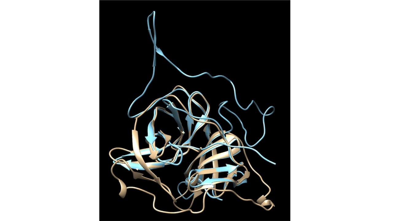 expression-and-characterization-of-the-powassan-virus-ns2b-ns3-protease
