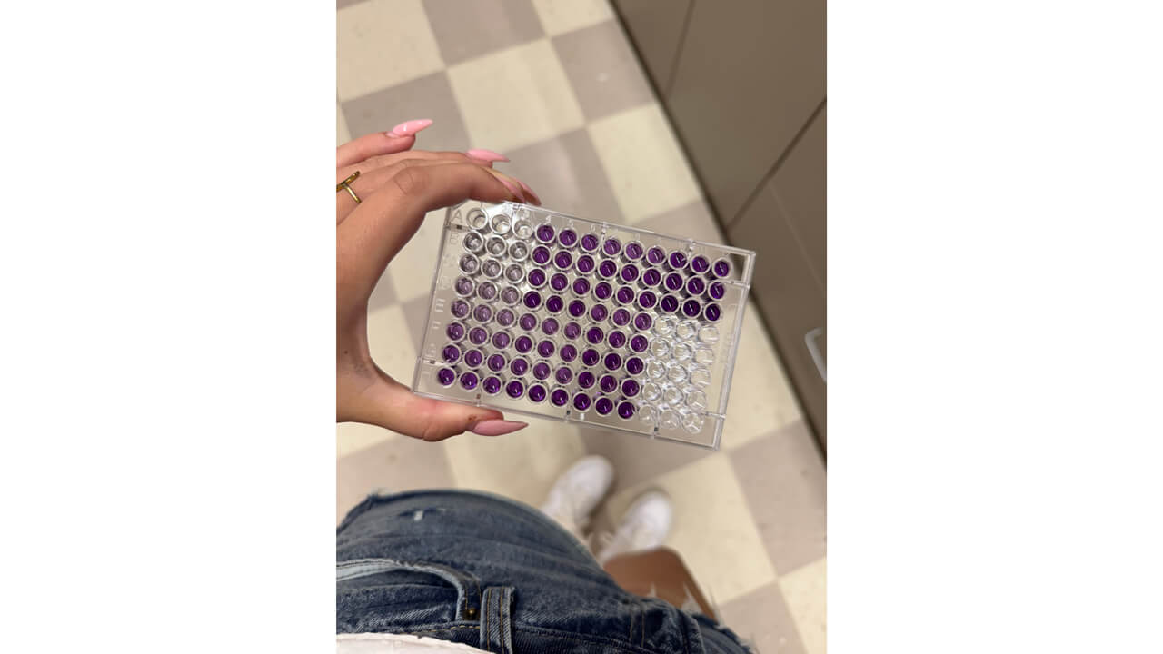 Person holding group of test tubes