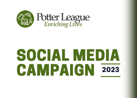 Graphic that says "Social Media Campaign 2023"