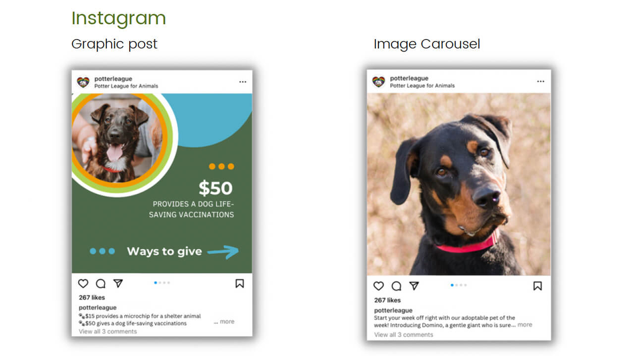 Sample Instagram posts