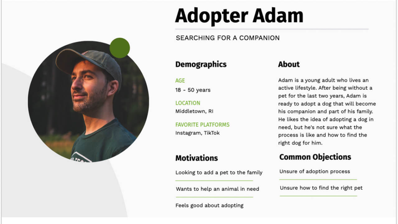 Persona graphic about a potential adopter